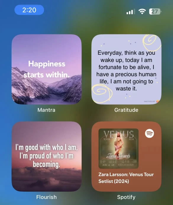 Screenshot of an iPhone screen with widgets that display positive statements, for the reader to visualize one way to use affirmations