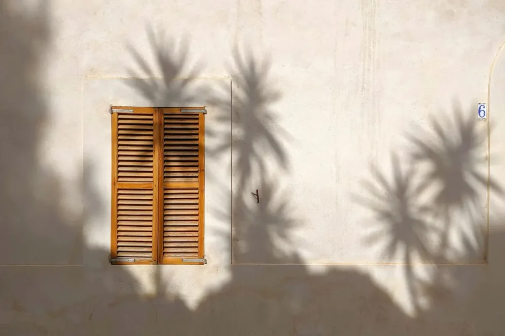 Shadows of palm trees on a concrete wall with one wooden window frame